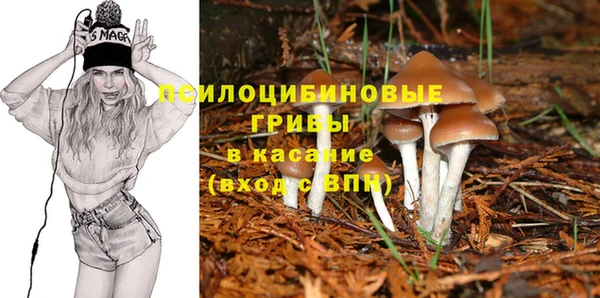 метадон Краснослободск