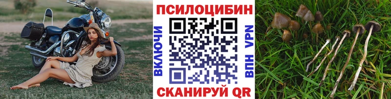 Галлюциногенные грибы ЛСД  Купить  Пятигорск 